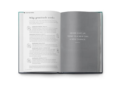Resilient ME Gratitude Journal (17+)