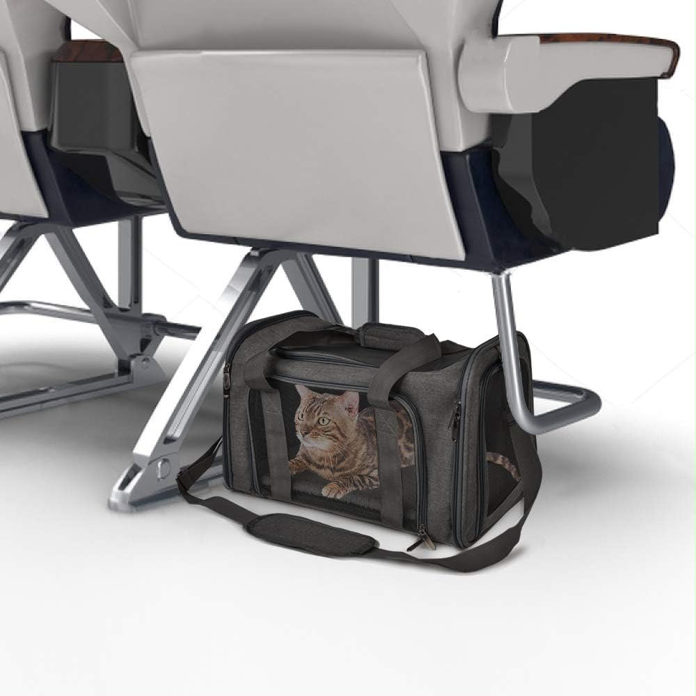 Portable Pet Carrier Bag – Soft-Sided Travel Carrier for Cats & Small Dogs