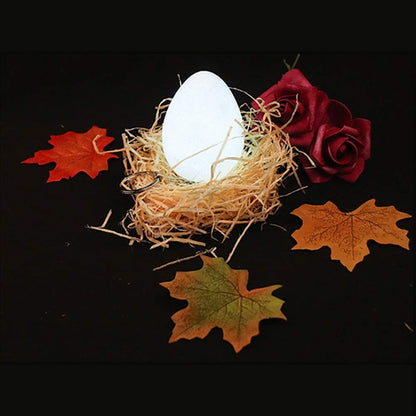7 Colors Night Light - salelink.co.nz