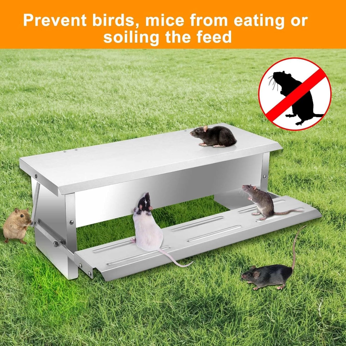 Automatic Chicken Feeder
