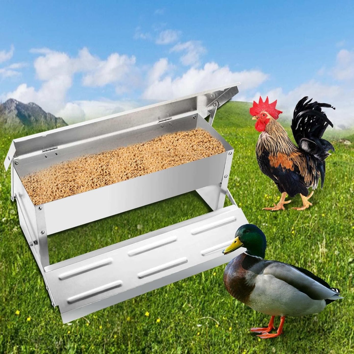 Automatic Chicken Feeder