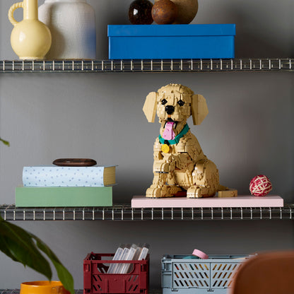 LEGO Icons: Golden Retriever Puppy (11384)