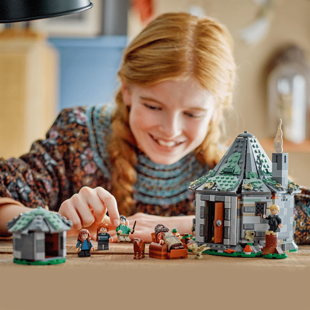 LEGO Harry Potter: Hagrids Hut: An Unexpected Visit (76428)