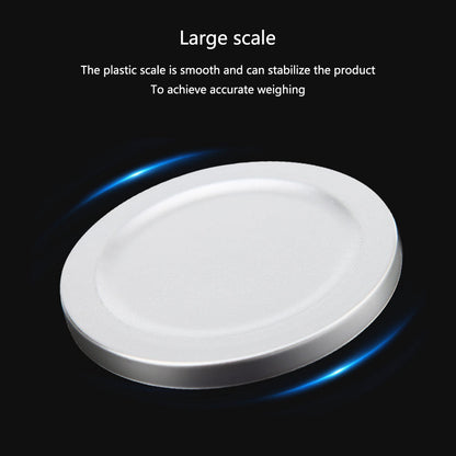 10g Digital Scale