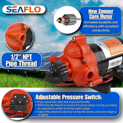 12V Seaflo Diaphragm Water Pump