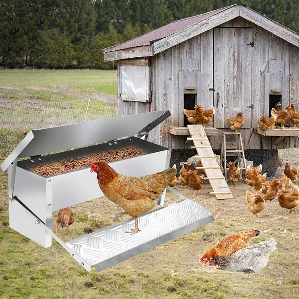 Automatic Chicken Food Feeder Treadle Self Opening Feeder