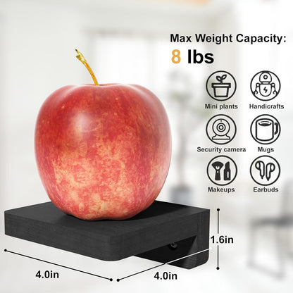 Mini Floating Shelves Wall Mounted Set of 4