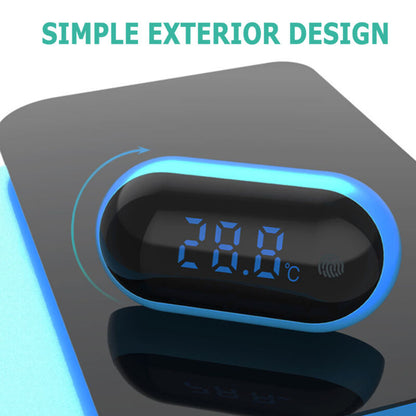 Digital Aquarium Thermometer