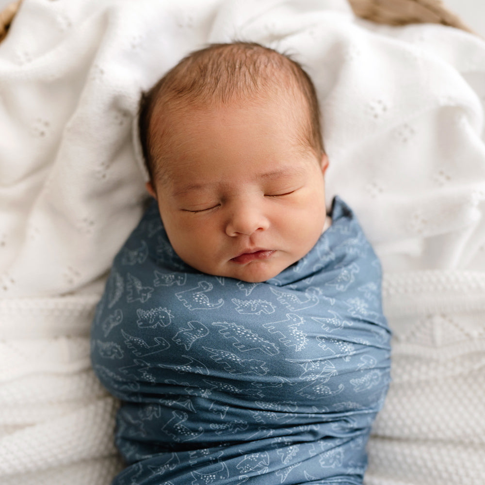 Stretchy Swaddle | Rexy & Friends