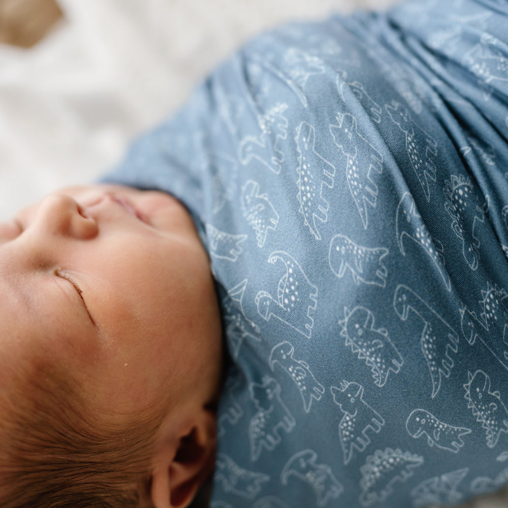 Stretchy Swaddle | Rexy & Friends