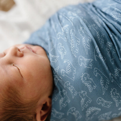Stretchy Swaddle | Rexy & Friends