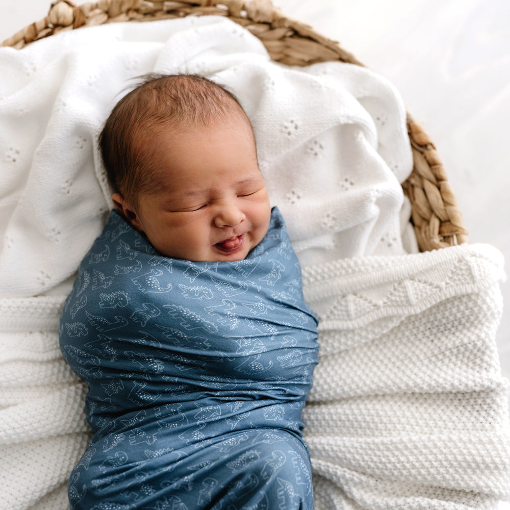 Stretchy Swaddle | Rexy & Friends