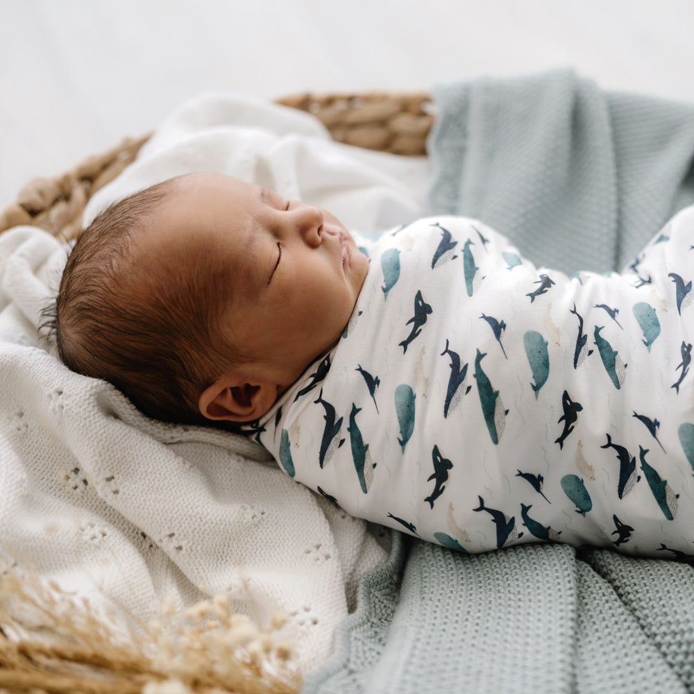 Stretchy Swaddle | Whale Tales