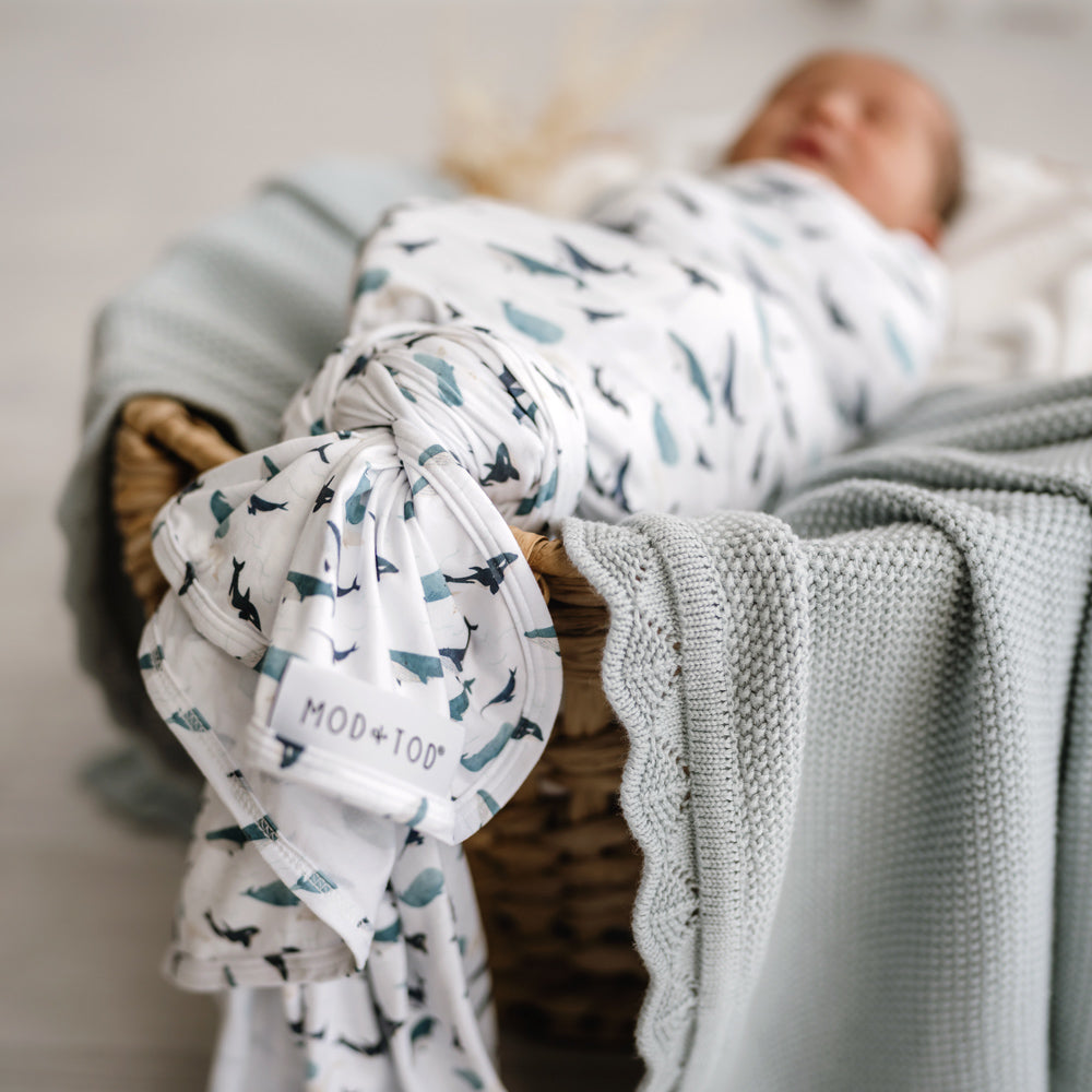 Stretchy Swaddle | Whale Tales