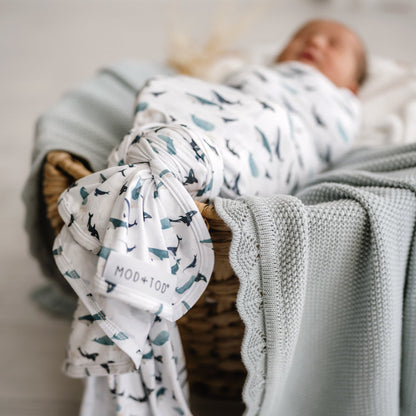 Stretchy Swaddle | Whale Tales