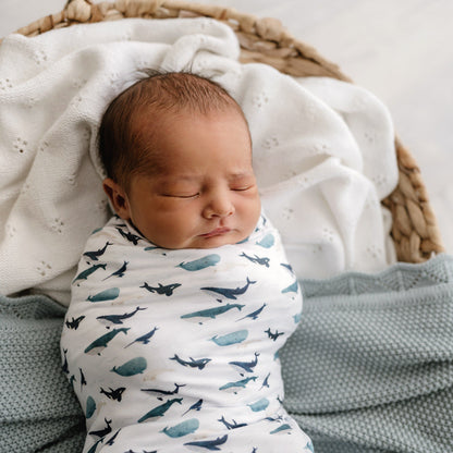 Stretchy Swaddle | Whale Tales