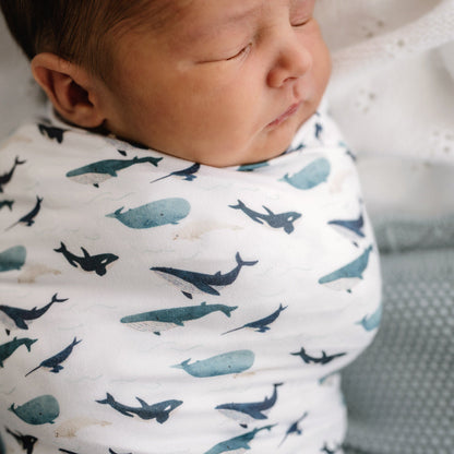Stretchy Swaddle | Whale Tales