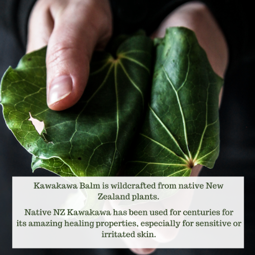 Frankie Apothecary - Kawakawa Balm - Eczema and Nappy Rash
