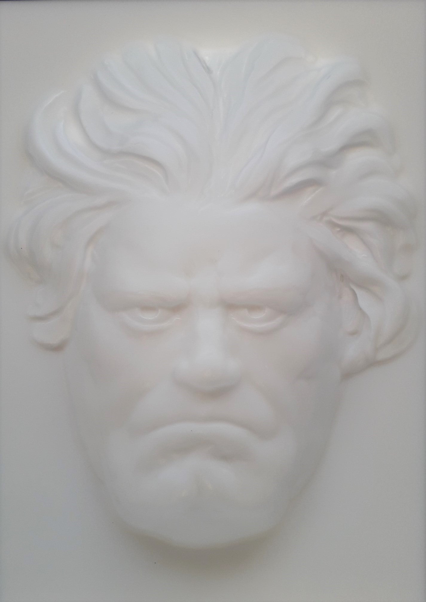 Beethoven Following Face