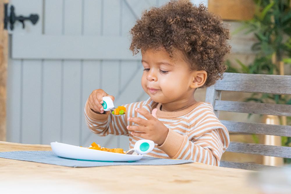 Doddl 3 Piece Cutlery, Case & Plate Bundle
