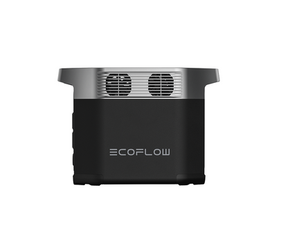 EcoFlow Delta 2 + 220W Solar Panel - Actiontech