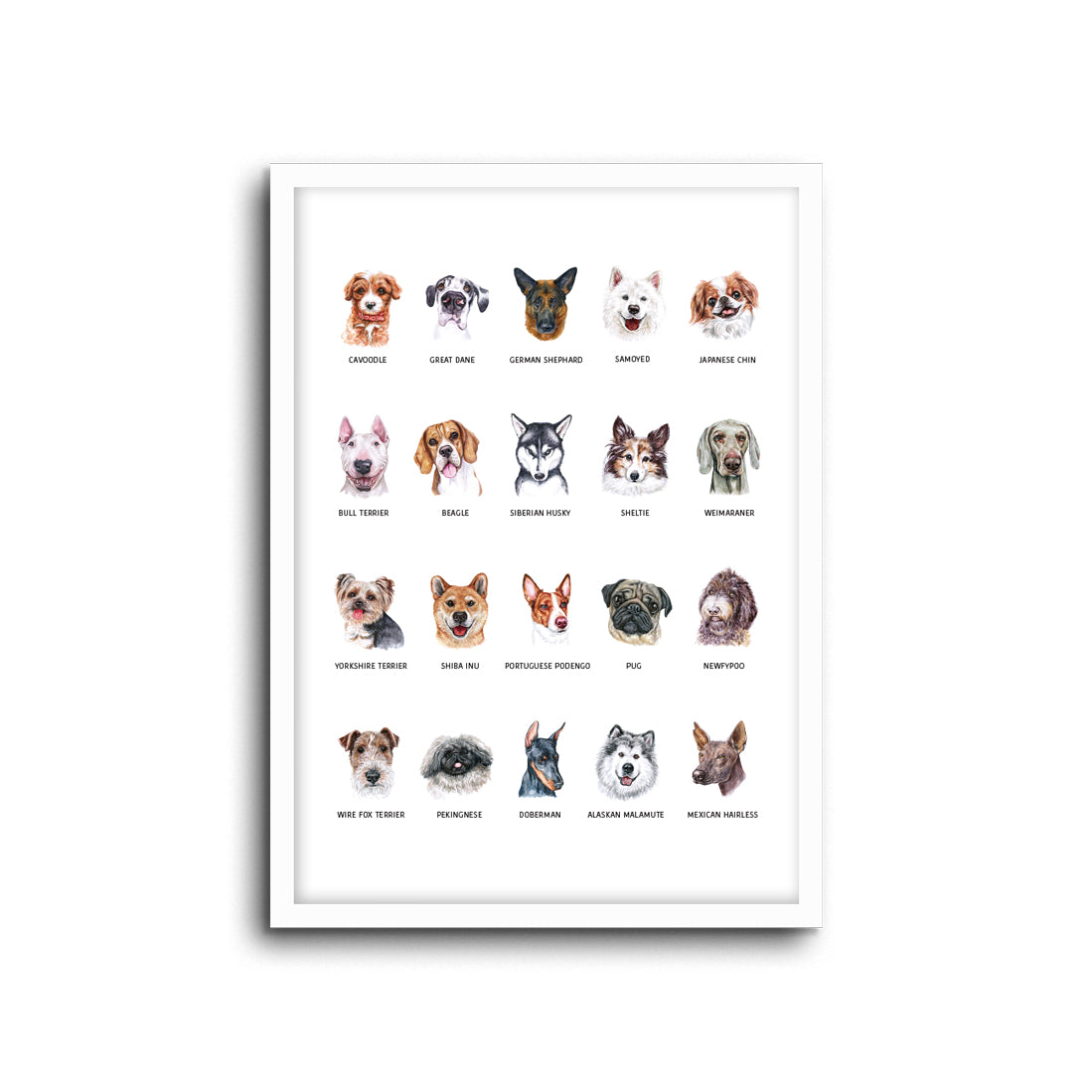 Wall Print |  Dogs