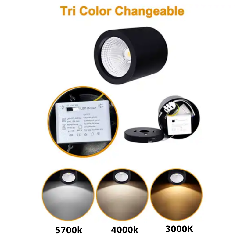 20W Downlight