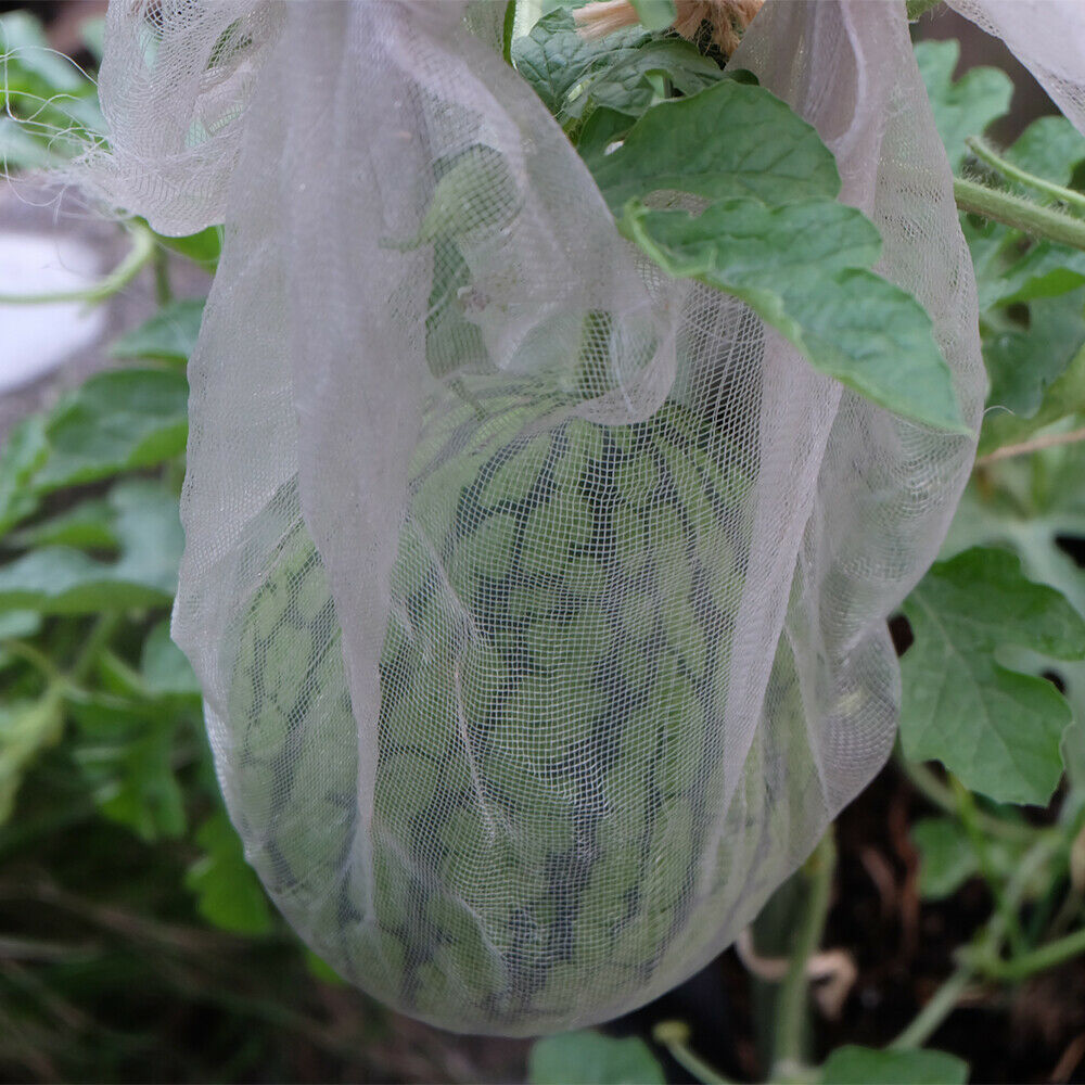 3 x 10M Garden Net Protection Plant Netting