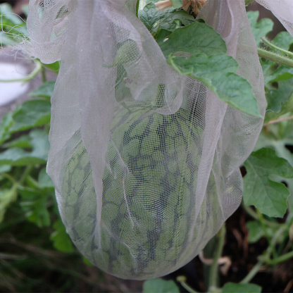 3 x 10M Garden Net Protection Plant Netting