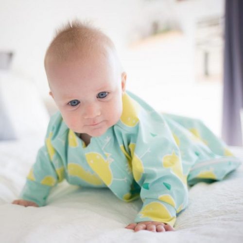Baby Loves Sleep - Hands In & Out Sleep Suit 0.7 Tog Organic
