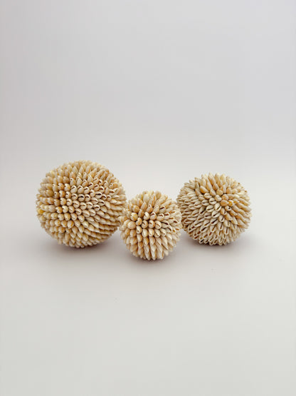 Natural Brown Shell Ball