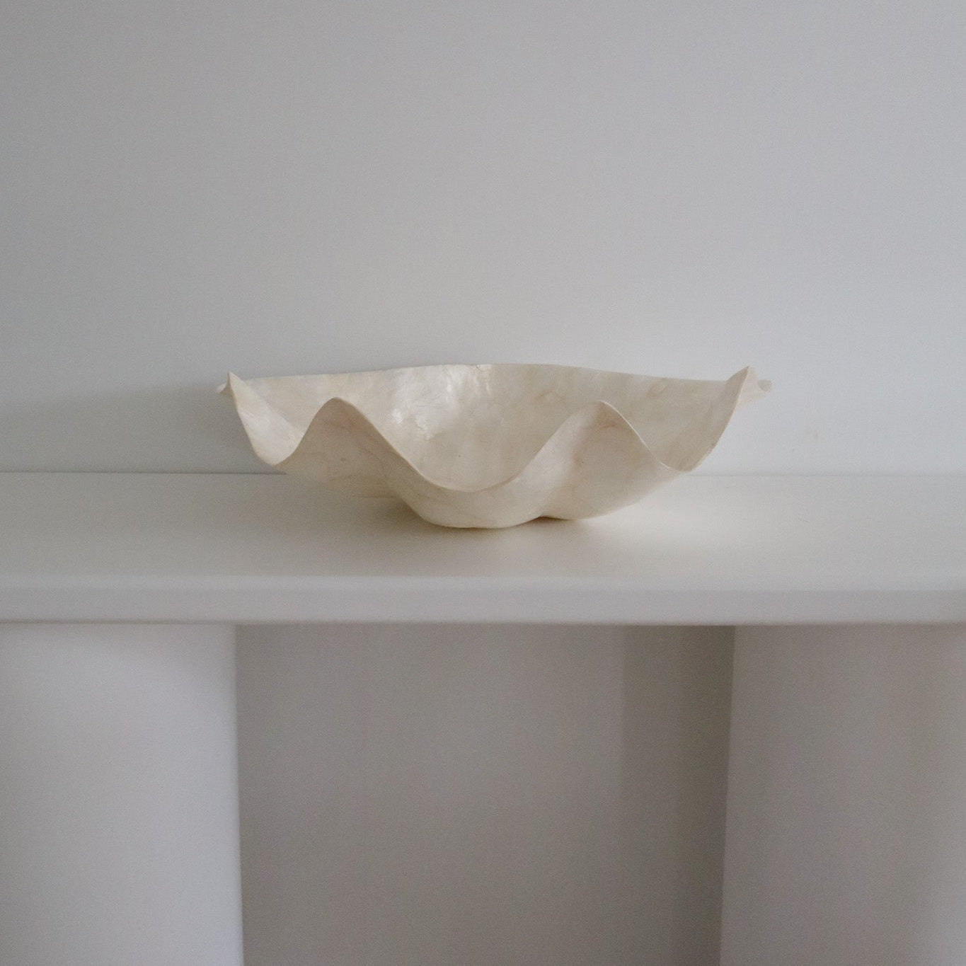 Pearl Clam Shell