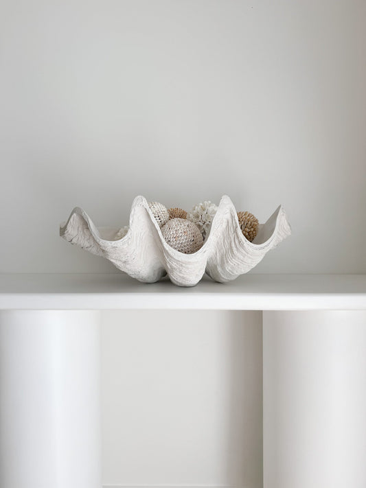 Clam Shell