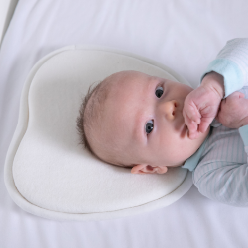 Moose - Baby Head Shape Support