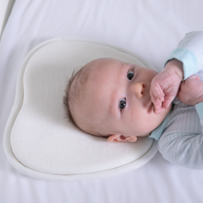 Moose - Baby Head Shape Support