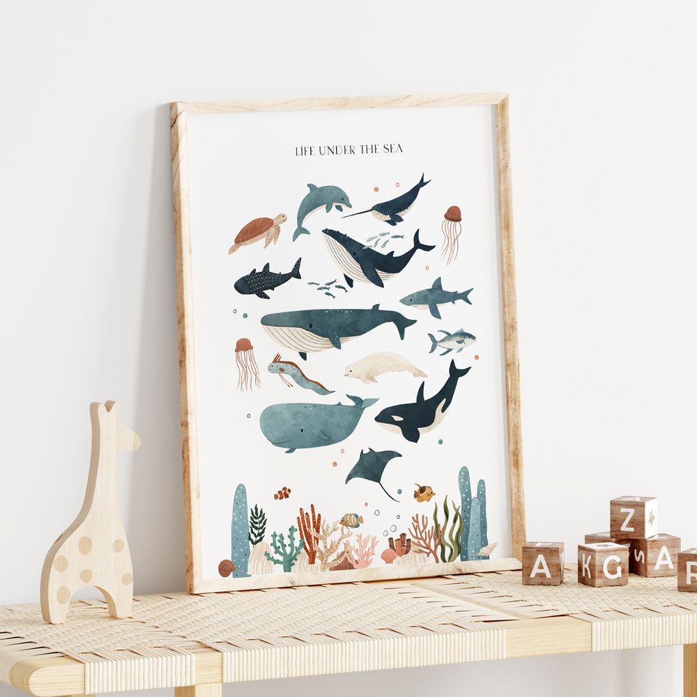 Wall Print |  Life Under The Sea