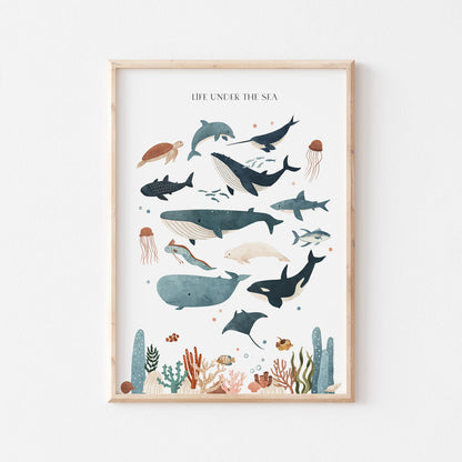Wall Print |  Life Under The Sea