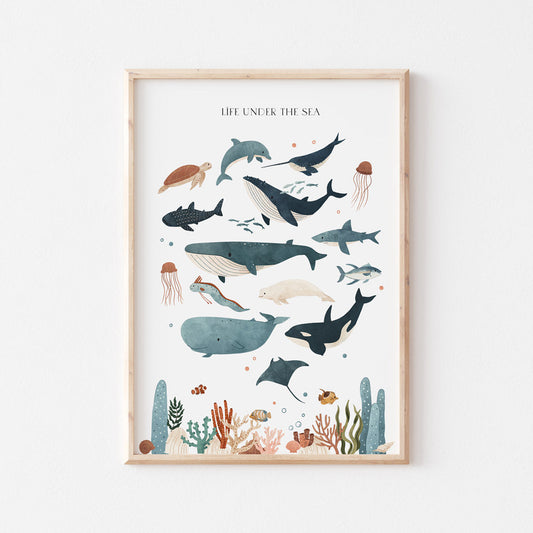Wall Print |  Life Under The Sea