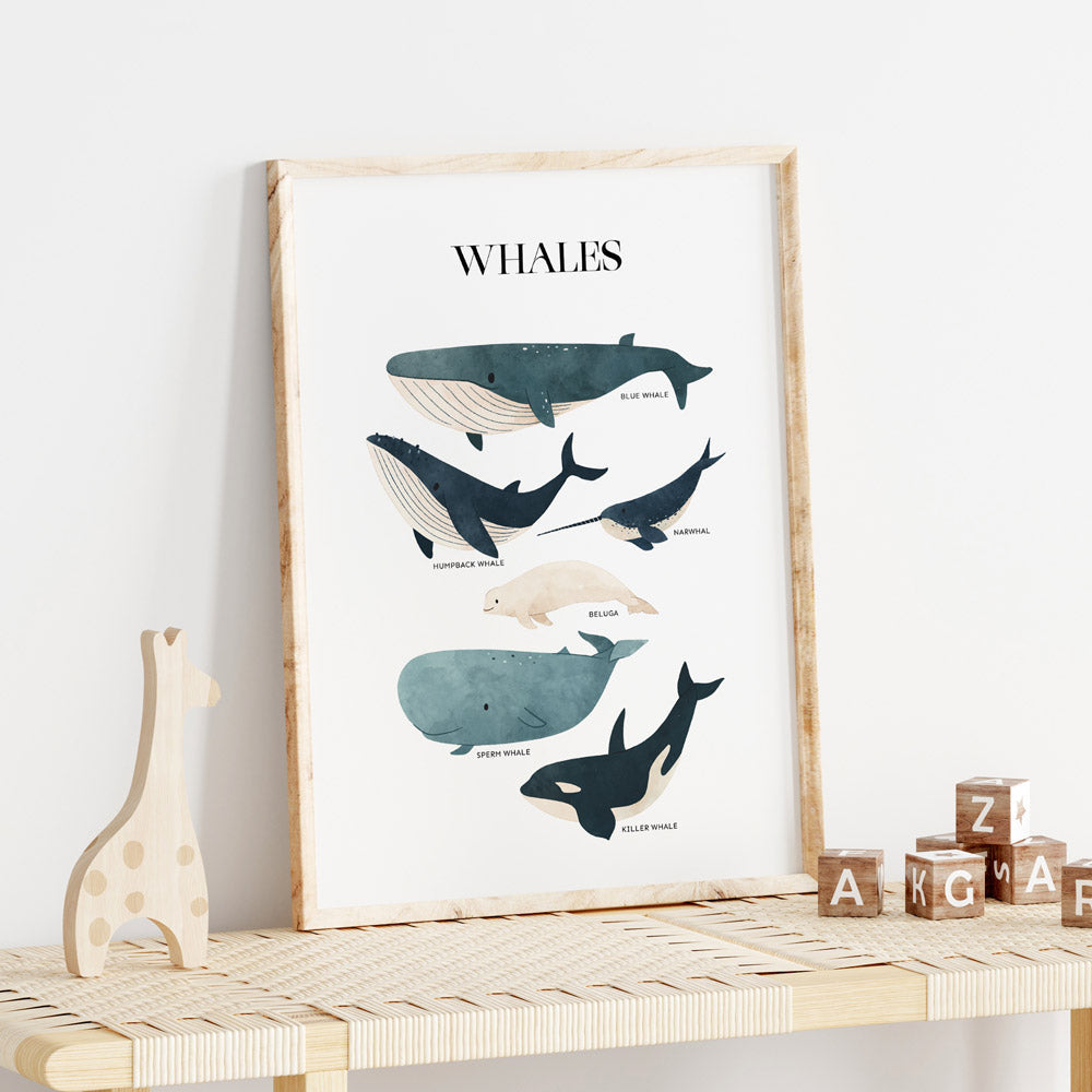 Wall Print |  Whales