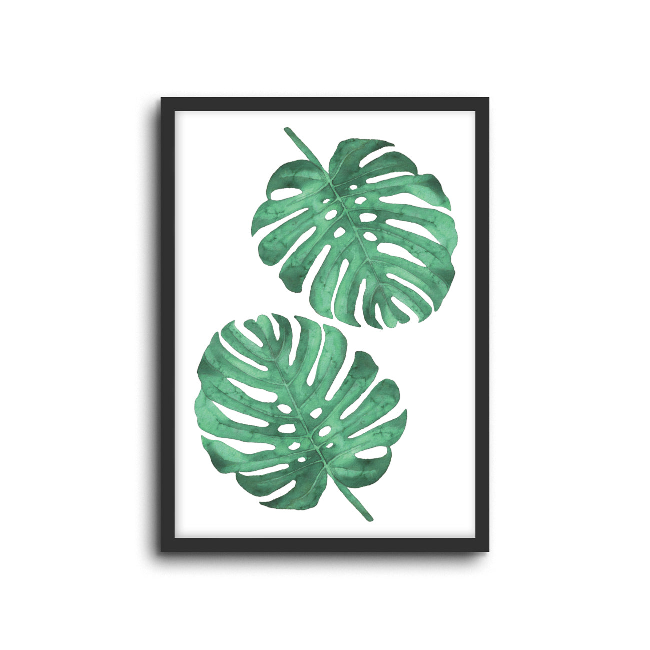 Wall Print |  Monstera
