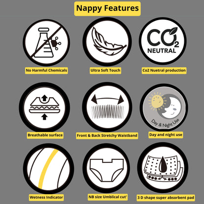 Sample Pack - Dryups Premium Nappies (2pcs)