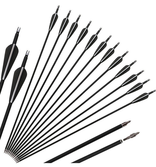 Carbon Arrows 12pcs - salelink.co.nz