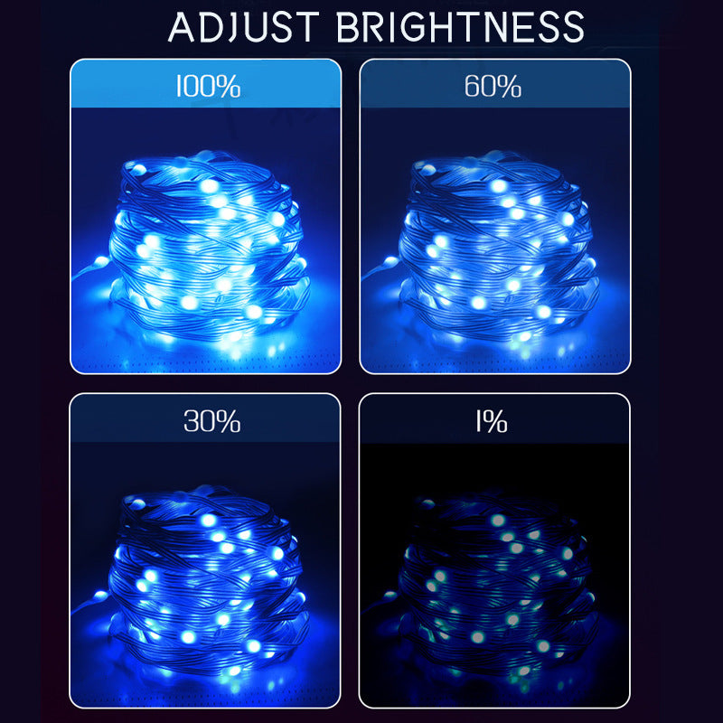 2M Smart LED String Lights RGBIC Strip