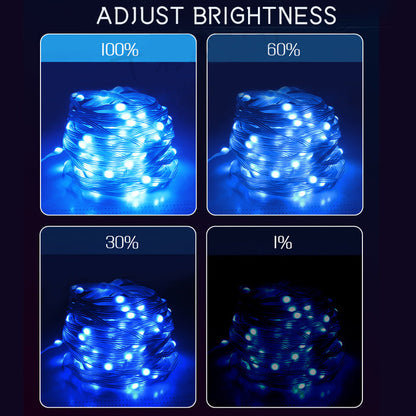 2M Smart LED String Lights RGBIC Strip