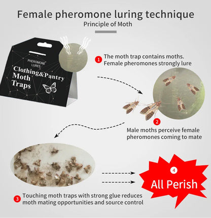 5PCS Clothing Pantry Moth Traps