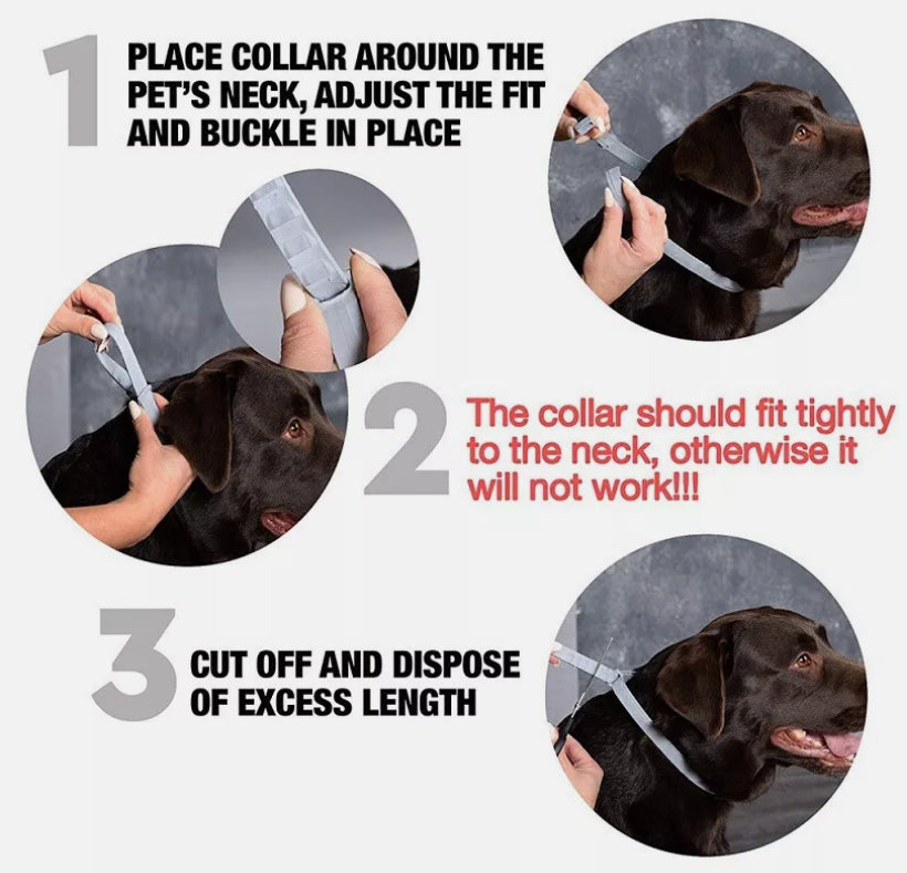 Flea and Tick Collar for Dogs Size 63.5cm