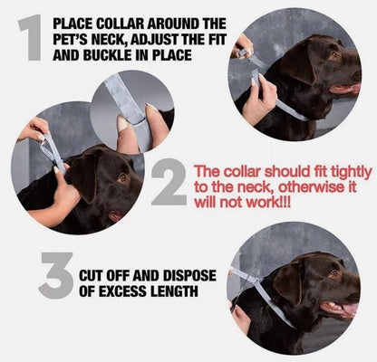 Flea and Tick Collar for Dogs Size 63.5cm