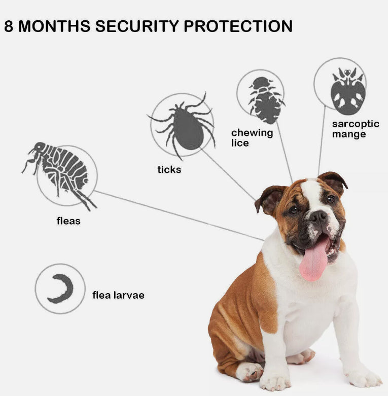 Flea and Tick Collar for Dogs Size 63.5cm