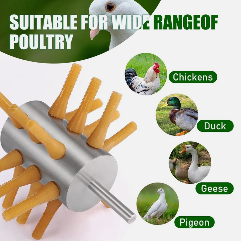 Chicken Plucker Drill Attachment, Stainless Steel Drill - salelink.co.nz