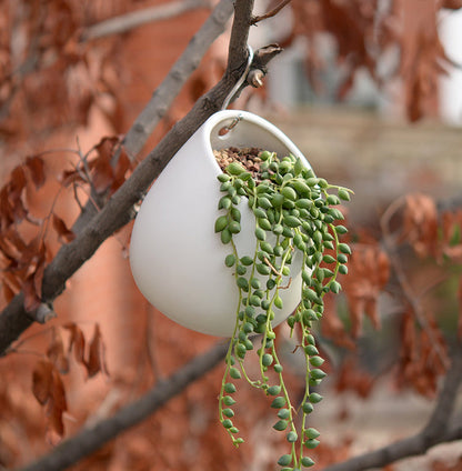 White Plant Pot Ceramic Planter